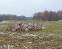 Zomerwandeling Nieuw-Buinen